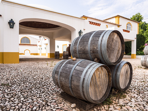 Barriles de vino en la región del vino de Alentejo, Portugal photo