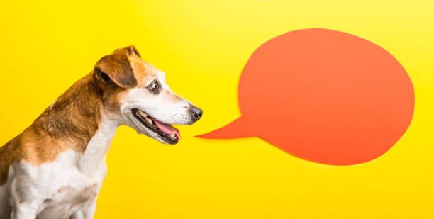 istock Happy smiling speacking dog profile. Yellow background, orange speech balloon 1030451154