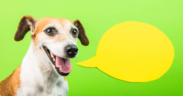 istock Happy smiling active dog face with speech balloon. Yellow and green. 1030451694