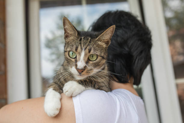 istock Women holding her cat and looking at the window 1030455664