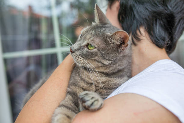 istock Women holding her cat and looking at the window 1030457896