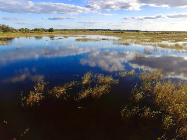 istock blue sky reflection on wet and grassy green lands 1030470878