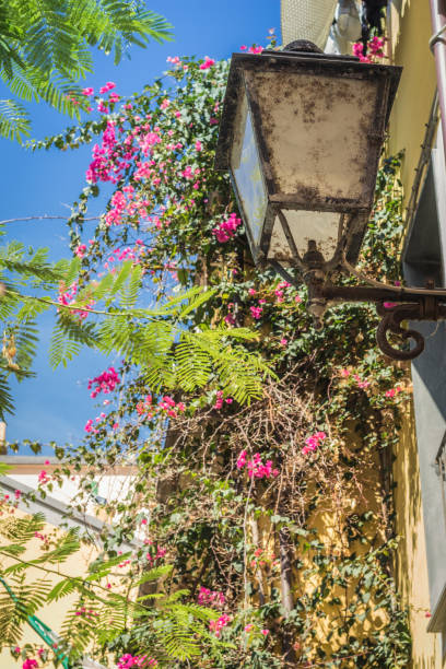 istock Vintage lamp post with flowers in Italy 1030471638