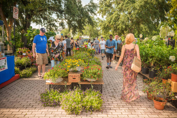 People Admire Flowers For Sale at the Winter Park Farmers Market This is a horizontal, color photograph of the Winter Park, Florida famers market. People stop to admire the flowers and plants on display at the Saturday outdoor market. winter park florida stock pictures, royalty-free photos & images