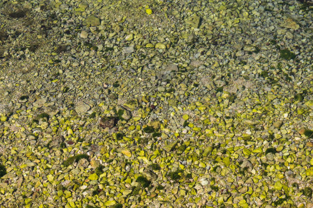 istock Clear water of Adriatic sea 1030493194