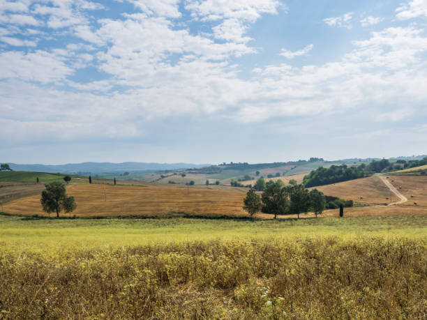 istock Tuscan landscape in summer 1030496094