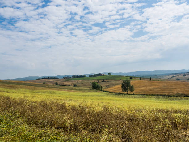 istock Tuscan landscape in summer 1030496096