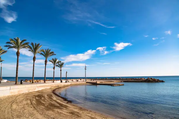 Photo of Sunny beach, promenade with palm trees in Torrevieja, Spain