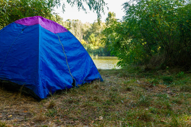 istock Blue camping tent in forest near a river 1030496736