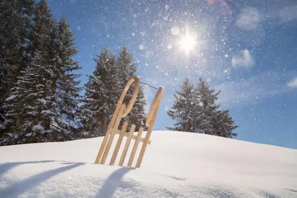 traditional sled in the snow