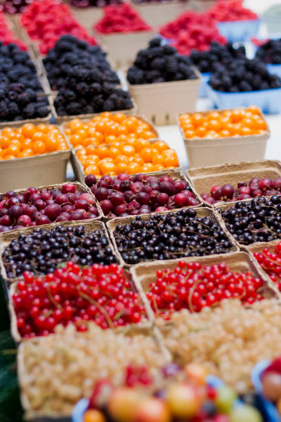 istock Berry Varieties in Market 1030499182