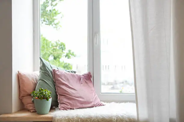 Photo of Square pillows, plaid and plant at the window