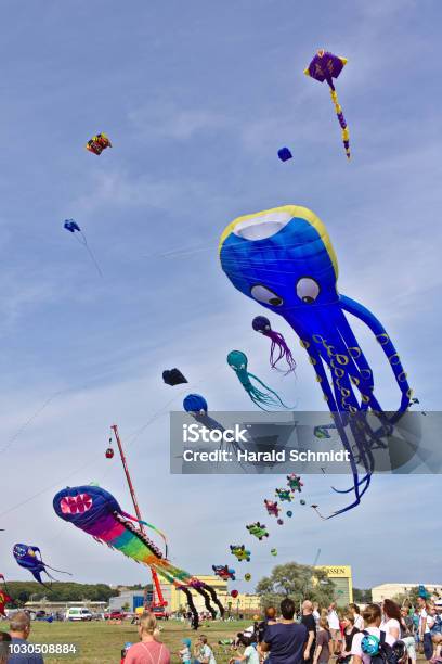 Großen Blauen Drachen In Form Einer Riesigen Krake Fliegen Auf Dem Drachenfest Lemwerder Stockfoto und mehr Bilder von Aktivitäten und Sport