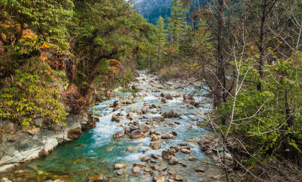 istock the mountain river in Bhutan in the Thimphu 1030509152