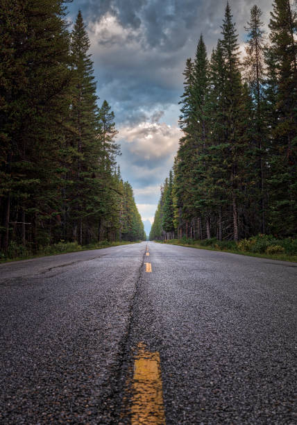 istock Bow Valley Parkway, Banff National Park, Alberta 1030518446
