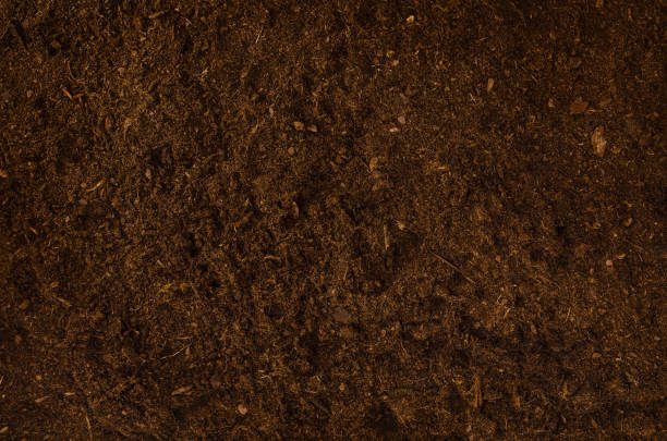 istock Fertile garden soil texture background top view 1030519030