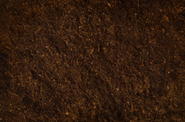 istock Fertile garden soil texture background top view 1030519096