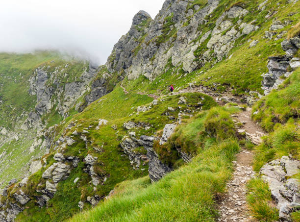 istock Woman hiking into rocky mountains 1030522832