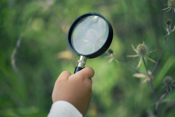 istock A small boy explores with a magnifying glass 1030530036