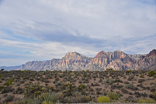 Red Rock Canyon landscape views.