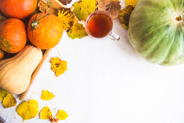 istock Hello, Autumn. Orange pumpkins Notepad Cup of tea Autumn foliage on a white background 1030543700