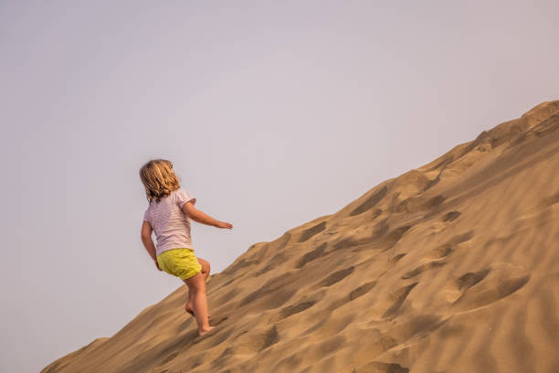 istock Walking up the sand dunes 1030547334