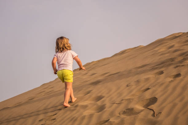 istock Walking up the sand dunes 1030547410