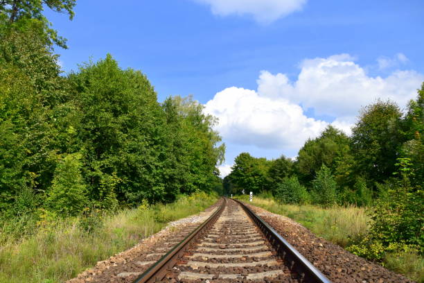 istock Train tracks seen from a close distance with all the rubble and separarte concrete elements visible seen in the middle of a lush forest with trees and shrubs surrounding the scene in Poland 1030559400