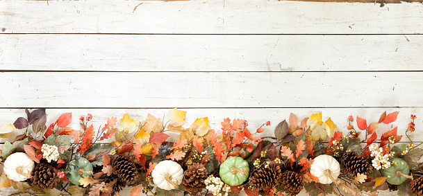 Thanksgiving Autumn Harvest Pumpkin Garland on an Old White Wood Background Banner