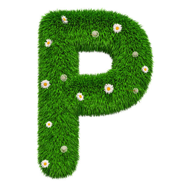 istock Green grassy letter P with flowers, 3D rendering isolated on white background 1030574124