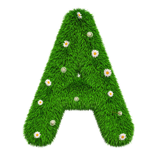 istock Green letter A from grass with flowers, 3D rendering isolated on white background 1030574160