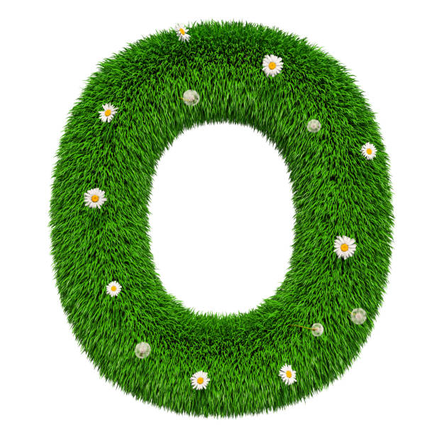 istock Green letter O from grass with flowers, 3D rendering isolated on white background 1030574252