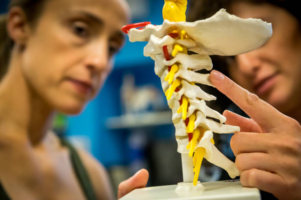 Physiotherapy treatment Physiotherapist giving some explanations to her patient. cervical vertebrae photos stock pictures, royalty-free photos & images