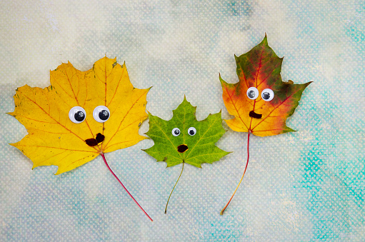 colorful autumn leaves in family concept decoration