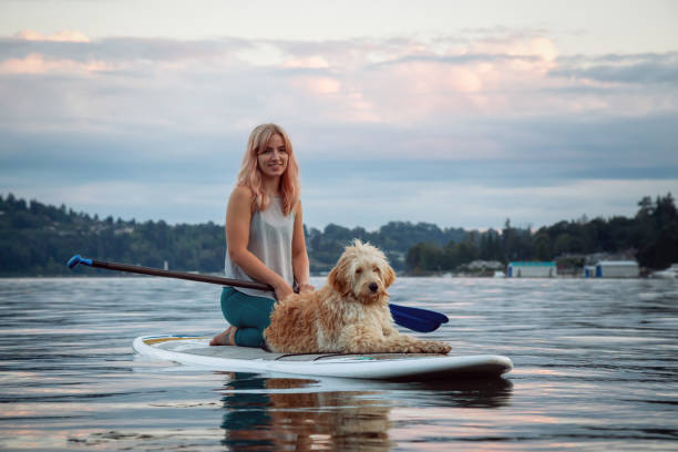 istock Girl paddling with Dog 1030597624