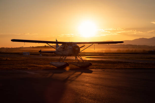istock Airplane at the Airport 1030597664