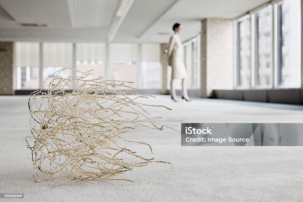 Businesswoman in office with tumbleweed  Recession Stock Photo