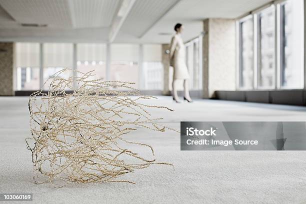 Businesswoman In Office With Tumbleweed Stock Photo - Download Image Now - Recession, Tumbleweed, Office