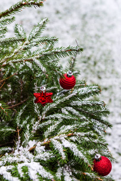 istock Natural fir tree brunches covered with snow, Christmas concept 1030604700