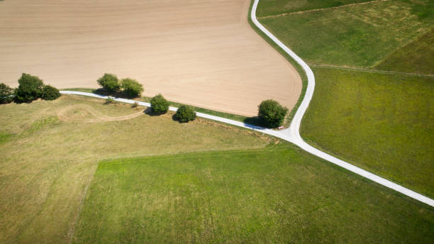 ways through agricultural area - forked road imagens e fotografias de stock