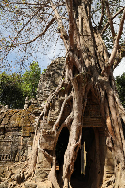 istock Ta Som Temple Ruin in Angkor 1030621090