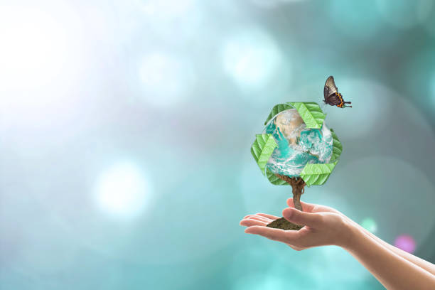 Waste recycle management, energy saving awareness, ecological sustainability and tree planting concept: Elements of this image furnished by NASA