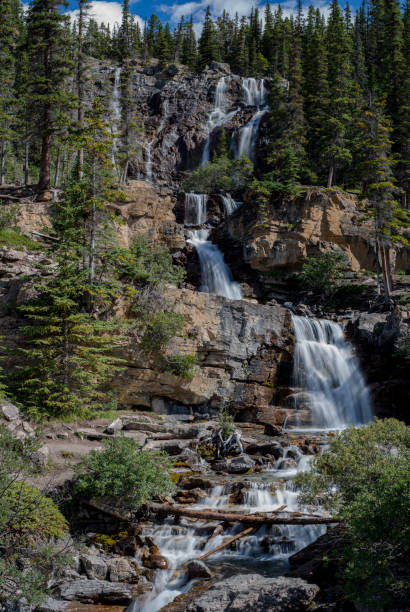 emaranhado creek, parque nacional jasper - tangle falls - fotografias e filmes do acervo