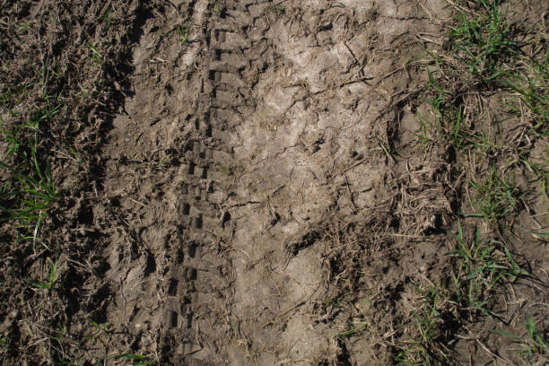 istock tire track in the mud background 1030637018