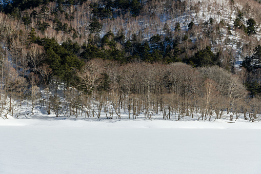 Frozen Lake Karikomiko in winter