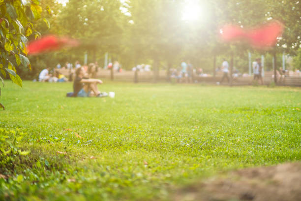 istock summer park green field under sunshine 1030642210