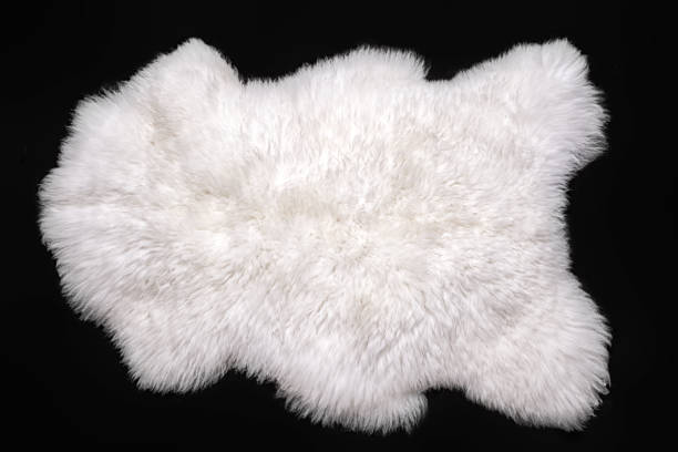 Beautiful white sheepskin isolated on a black background