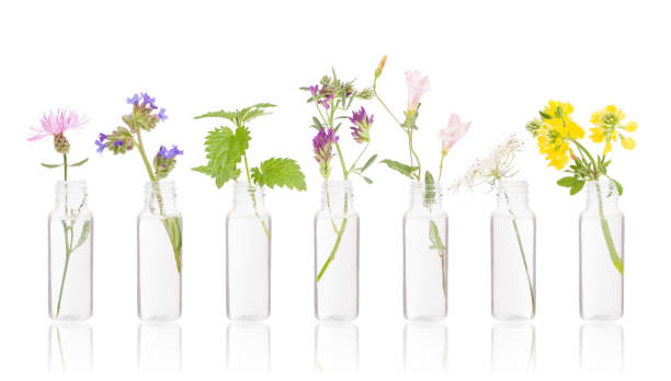 istock Bottles of essential oil with fresh herbs. 1030642976