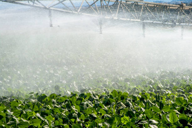 istock Irrigation system watering a farm field of soy 1030671600