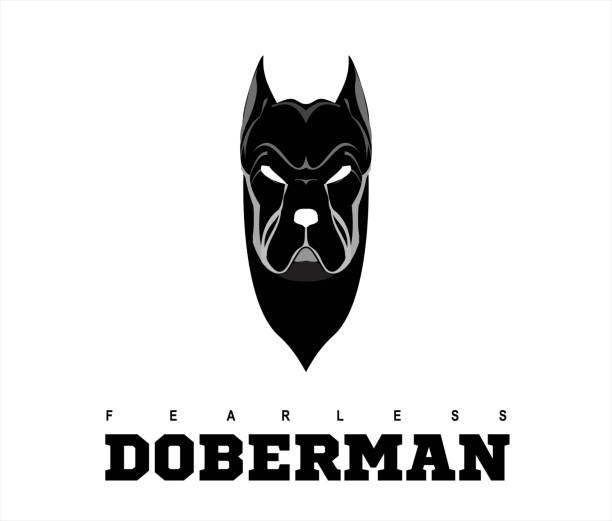 Fearless doberman, wild dog, k9 Fearless doberman, wild dog, k9, in black and white pitbull graphic stock illustrations